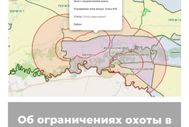 Об ограничениях охоты в Оренбургской области