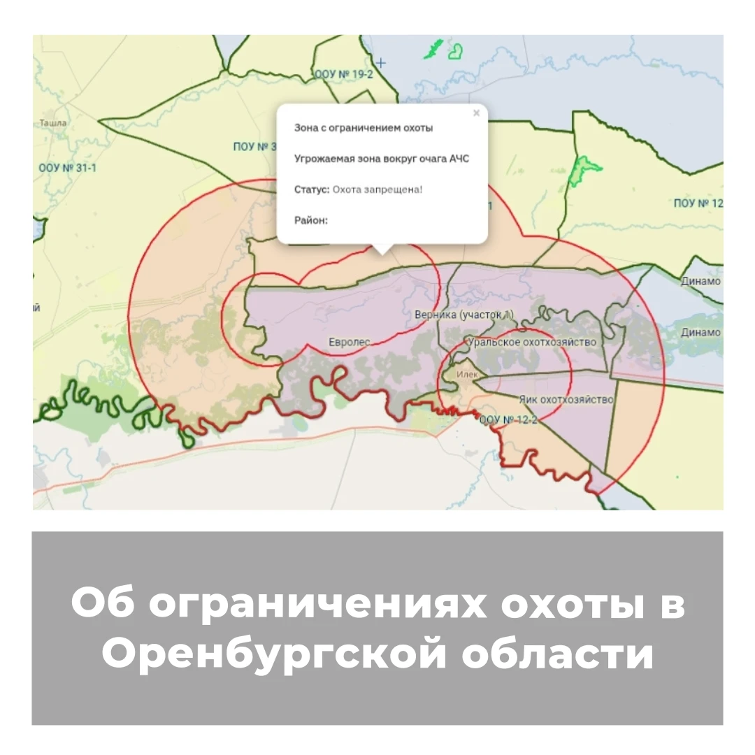 Об ограничениях охоты в Оренбургской области