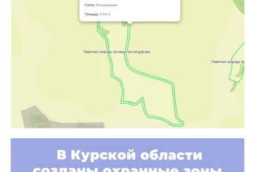 В Курской области созданы охранные зоны памятников природы