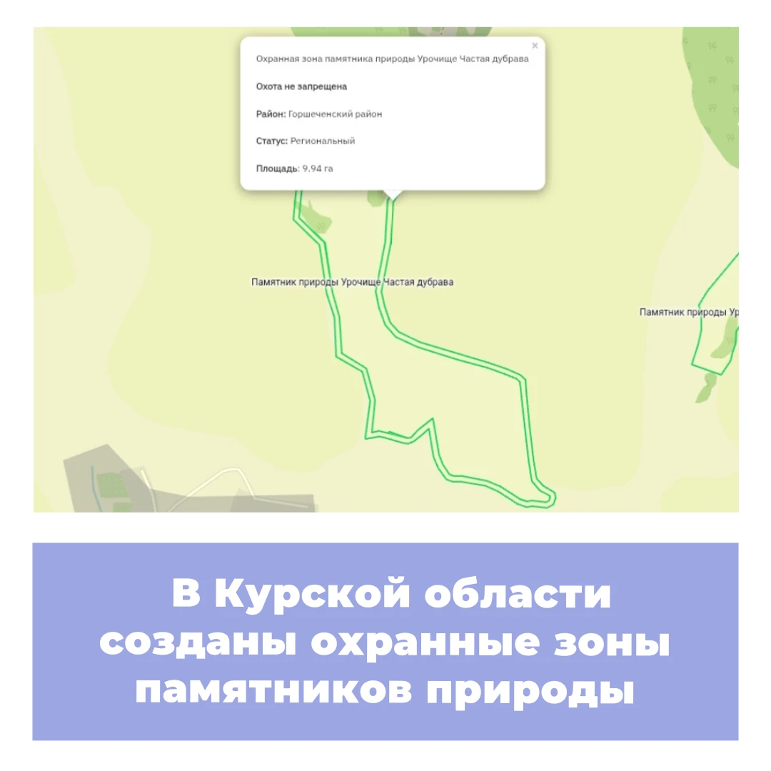 В Курской области созданы охранные зоны памятников природы