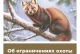 Об ограничениях охоты в Забайкальском крае