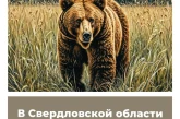 В Свердловской области изменили сроки охоты