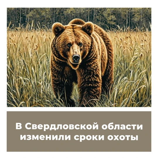 В Свердловской области изменили сроки охоты