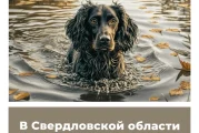 В Свердловской области изменили сроки охоты