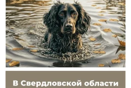 В Свердловской области изменили сроки охоты