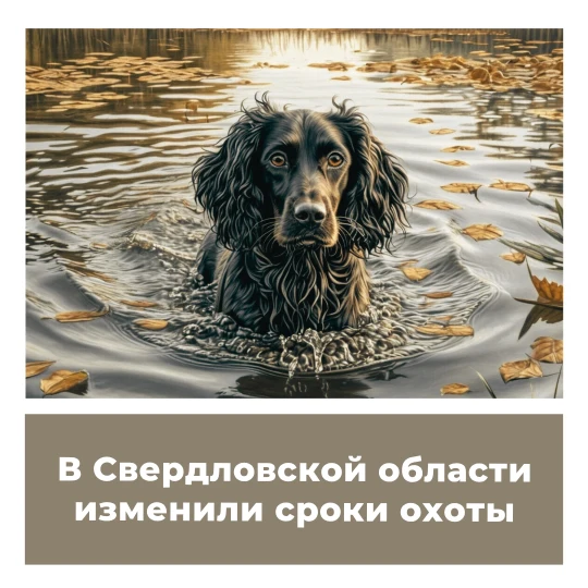 В Свердловской области изменили сроки охоты