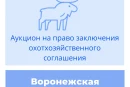 Торги на право заключения охотхозяйственного соглашения в Воронежской области