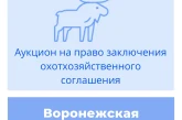 Торги на право заключения охотхозяйственного соглашения в Воронежской области