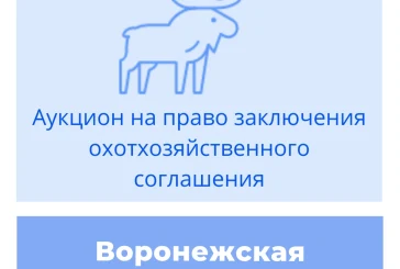 Торги на право заключения охотхозяйственного соглашения в Воронежской области