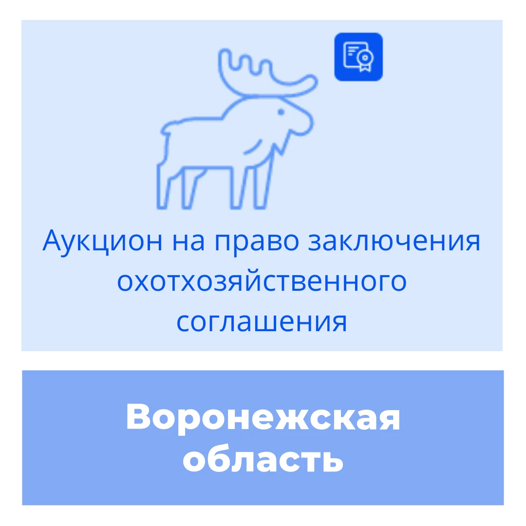 Торги на право заключения охотхозяйственного соглашения в Воронежской области