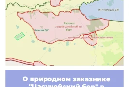 О природном с заказнике «Цасучейский бор» в Забайкальском крае