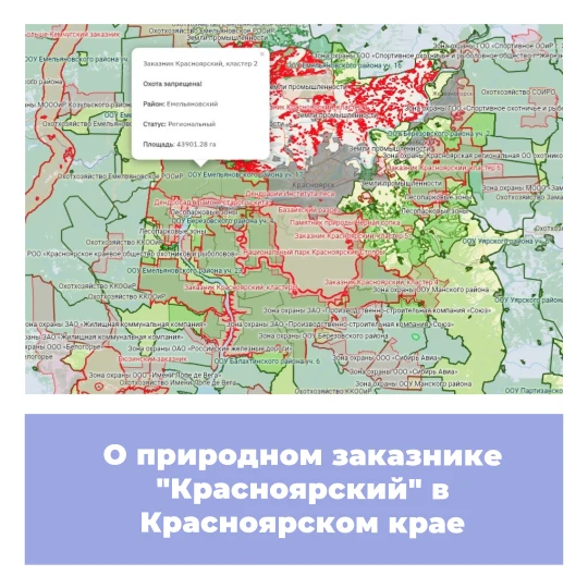 О природном заказнике «Красноярский» в Красноярском крае