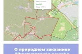 О природном заказнике «Линдуловская роща» в Ленинградской области