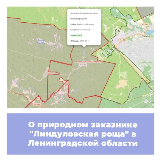 О природном заказнике «Линдуловская роща» в Ленинградской области