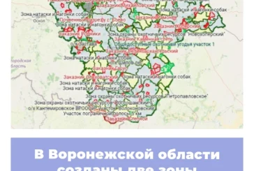 В Воронежской области созданы две зоны охраны охотресурсов