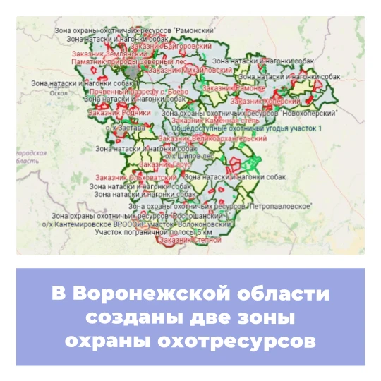 В Воронежской области созданы две зоны охраны охотресурсов