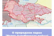 О природном парке «Волго-Ахтубинская пойма» в Волгоградской области
