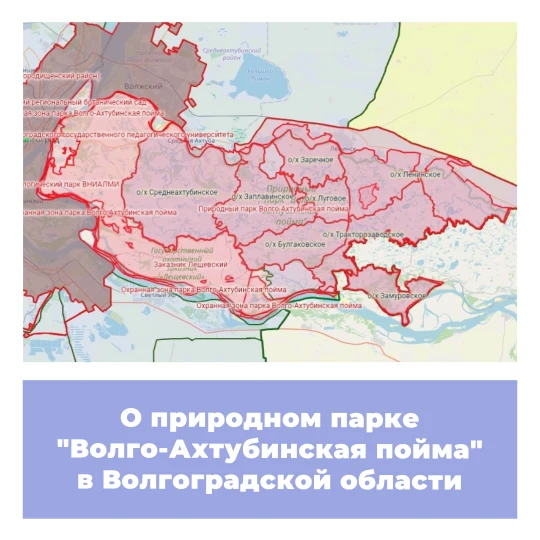 О природном парке «Волго-Ахтубинская пойма» в Волгоградской области