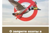 О запрете охоты в Калужской области