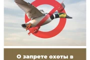 О запрете охоты в Калужской области