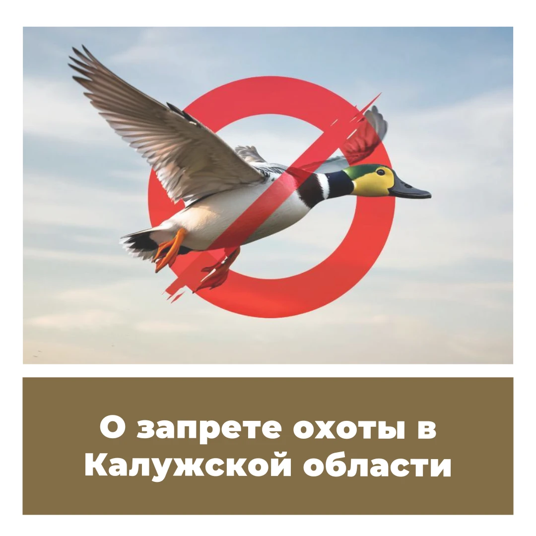 О запрете охоты в Калужской области