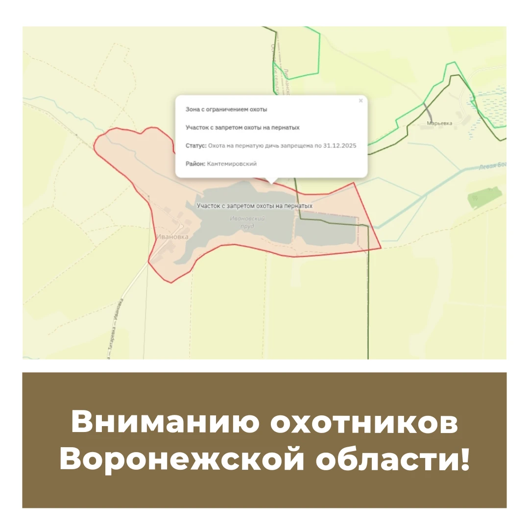 Вниманию охотников Воронежской области!
