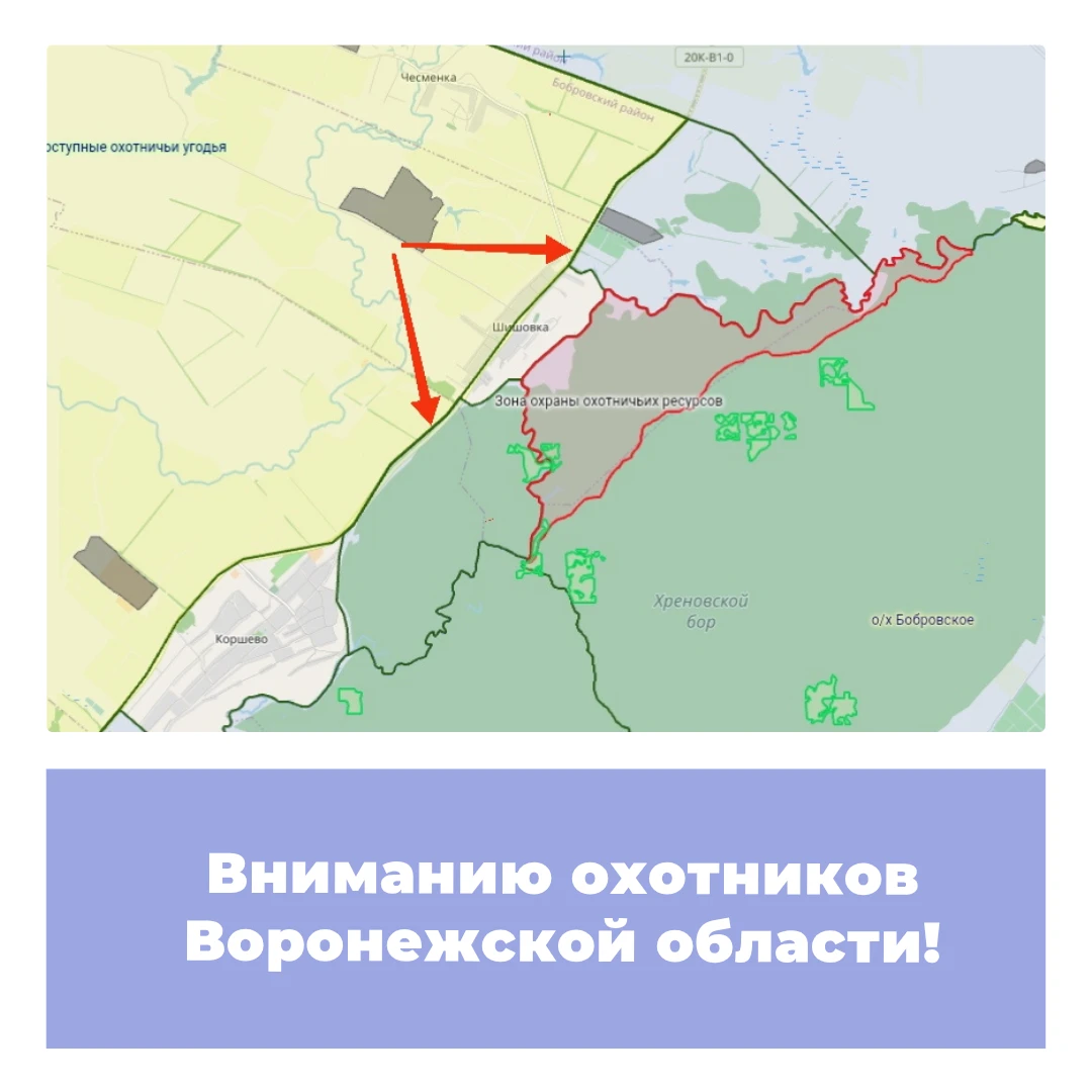 Вниманию охотников Воронежской области!