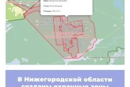 В Нижегородской области созданы охранные зоны памятников природы