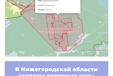 В Нижегородской области созданы охранные зоны памятников природы
