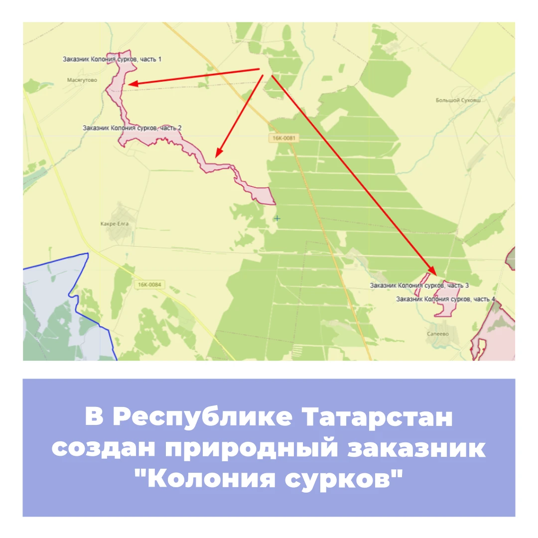В Республике Татарстан создан природный заказник «Колония сурков»