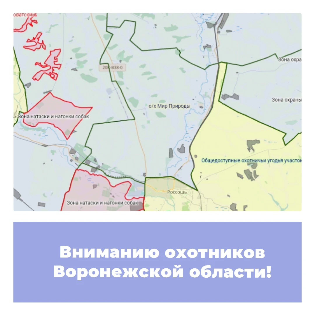 Вниманию охотников Воронежской области!