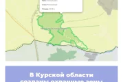 В Курской области созданы охранные зоны памятников природы