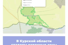 В Курской области созданы охранные зоны памятников природы