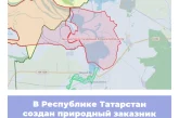 В Республике Татарстан создан природный заказник «Места гнездования большой белой цапли»