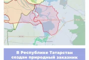 В Республике Татарстан создан природный заказник «Места гнездования большой белой цапли»