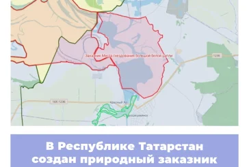 В Республике Татарстан создан природный заказник «Места гнездования большой белой цапли»