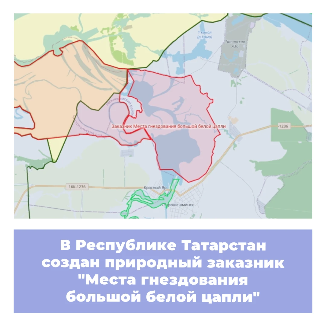 В Республике Татарстан создан природный заказник «Места гнездования большой белой цапли»