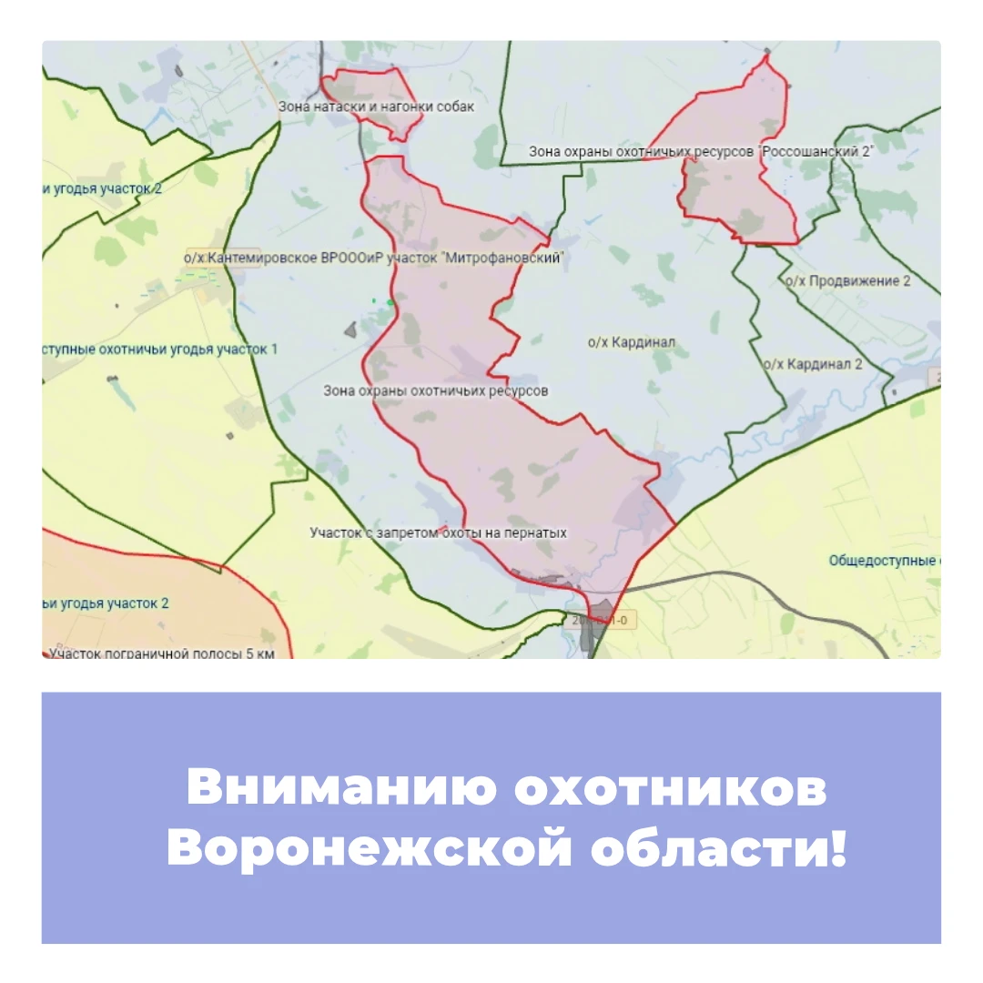 Вниманию охотников Воронежской области!