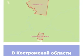 В Костромской области созданы новые ООПТ