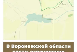 В Воронежской области сняты ограничения охоты на пернатую дичь