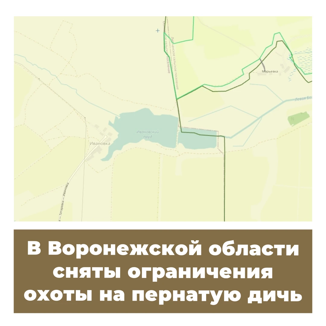 В Воронежской области сняты ограничения охоты на пернатую дичь