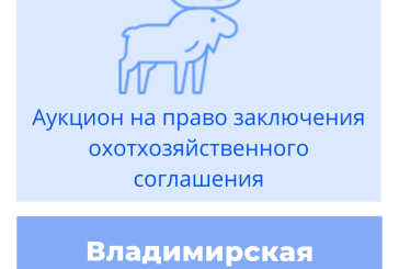 Торги на право заключения охотхозяйственного соглашения во Владимирской области