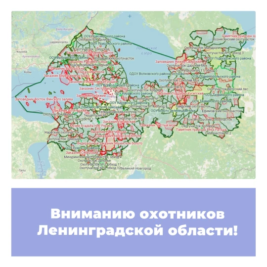 Вниманию охотников Ленинградской области!