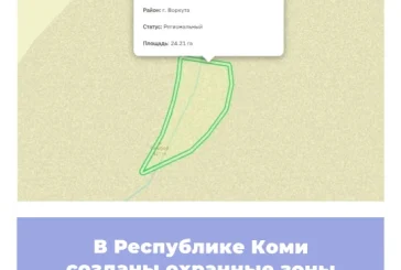 В Республике Коми созданы охранные зоны памятников природы