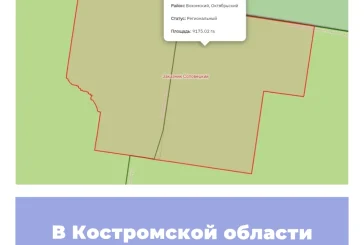 В Костромской области созданы новые ООПТ