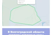 В Волгоградской области созданы охранные зоны памятников природы