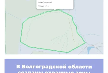 В Волгоградской области созданы охранные зоны памятников природы
