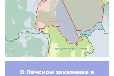 О Лачском заказнике в Архангельской области