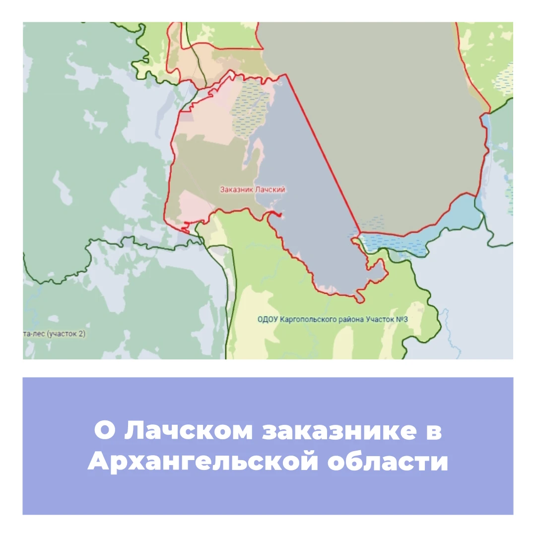 О Лачском заказнике в Архангельской области