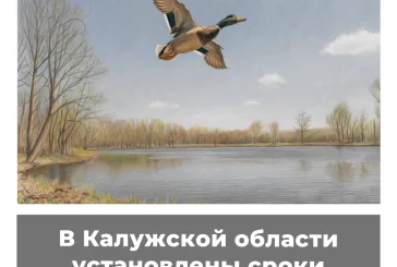 В Калужской области установлены сроки весенней охоты
